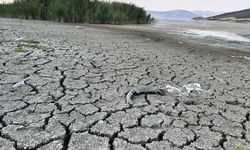 Kuraklık, Mada Adası'ndaki Yörüklerin yaşamını olumsuz etkiledi