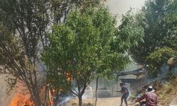 Malatya'da çıkan orman yangınına müdahale ediliyor
