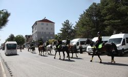 Malazgirt Zaferi kutlamalarına katılacak atlı polisler Ahlat'ta devriye görevi yaptı