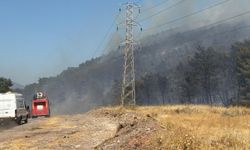 Manisa Soma'da orman yangını çıktı