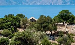 Marmaris'teki Phoenix Antik Kenti'nde 2025 yılı kazı çalışmaları tamamlandı