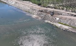 Meriç Nehri kıyısındaki setler güçlendiriliyor