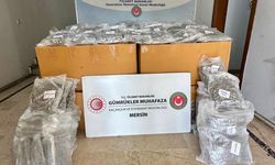 Mersin Limanı'ndaki konteynerde 587 kilogram esrar ele geçirildi
