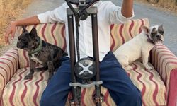 Muğla'da bir kişi koltuk monte ettiği skuterde iki köpeğiyle yolculuk yaptı