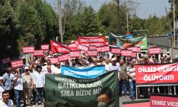 Sakarya'da vatandaşlar, fabrikaların Mudurnu Deresi'ni kirlettiği iddiasıyla protesto düzenledi