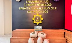 Şanlıurfa'da uyuşturucu operasyonunda yakalanan zanlı tutuklandı