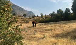 Siirt'te kaybolan zihinsel engelli kişiyi bulmak için arama çalışması başlatıldı