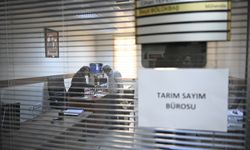 Tarım sayımı için kurulan bürolarda yoğunluk başladı