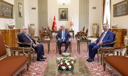TBMM Başkanı Kurtulmuş, AYM Başkanı Özkaya'yı kabul etti