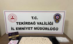 Tekirdağ'da 2 bin 474 sentetik ecza hapı ele geçirildi