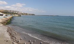 Tekirdağ'da deniz ulaşımı normale döndü