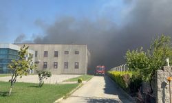Tekirdağ'da tarım arazisinden tül fabrikasına sıçrayan yangına müdahale ediliyor