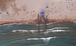 Uydu cihazıyla izlenen caretta caretta "Tuba" ikinci dünya turuna salındı