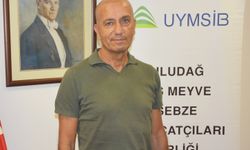UYMSİB Başkanı Yazgan'dan Bursa siyah incirinin ihracatındaki sorunların giderilmesi talebi: