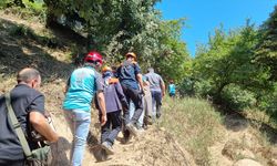 Yalova'da ormanlık alanda rahatsızlanan kadın ekiplerce hastaneye kaldırıldı