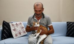 Yaşama tutunmalarını sağladığı kedilerin bakımını aksatmıyor