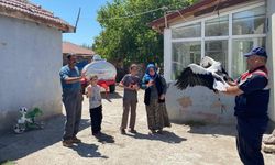 Yozgatlı ailenin sahip çıktığı leylek "Su", jandarma ekiplerine teslim edildi