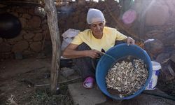 Köylülerin kengerden ürettiği sakızın kilogramı 5 bin liradan alıcı buluyor