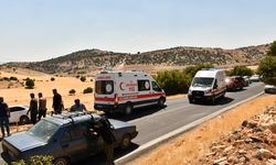 Adıyaman'da devrilen otomobildeki 6 kişi yaralandı