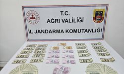 Ağrı'da sahte paralarla yakalanan şüpheli gözaltına alındı