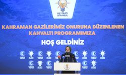 AK Parti Genel Başkan Yardımcısı Kaya, şehit aileleri ve gazilerle bir araya geldi: