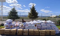 Ankara'da 6 ton 100 kilogram kaçak tütün ele geçirildi
