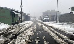 Ardahan ile Kars'ın yüksek kesimlerine kar yağdı
