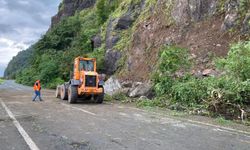 Artvin'de heyelan nedeniyle Karadeniz Sahil Yolu ulaşımında aksama yaşandı