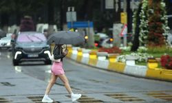 Aydın'da 1 Haziran'dan beri yaşanan kuraklığın ardından ilk yağmur taneleri toprakla buluştu