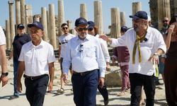 Aydın'da kazada yaralanan kadın ambulans gelene kadar kartonla güneşten korundu