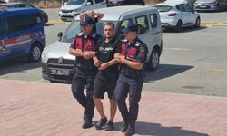 Bodrum'da 15 düzensiz göçmen yakalandı