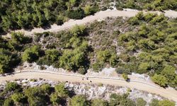 Bodrum'da baba oğul ata mesleği arıcılığı ürün çeşitlendirmesiyle sürdürüyor