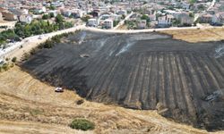 Bursa'da evlere yakın noktada çıkan anız yangını söndürüldü