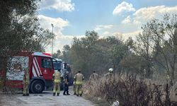 Büyükçekmece'de ağaçlık alanda çıkan yangın söndürüldü