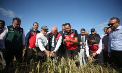 Çanakkale'de 'Çeltik Hasadı Tarla Günü' etkinliği düzenlendi