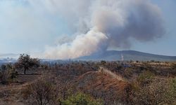 Çanakkale'de tarım arazisinde çıkan yangına havadan ve karadan müdahale ediliyor