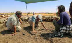 Çayönü Tepesi'nde yaklaşık 9 bin 500 yıllık 'Kamusal Yapı' bulundu