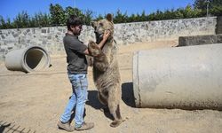 Çekmeköy Hayvan Rehabilitasyon Merkezinde rahatsızlanan ayının tedavisi uluslararası medyaya konu oldu