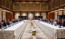 Cumhurbaşkanı Yardımcısı Yılmaz, AB Türkiye Delegasyonu'nu ve üye ülke büyükelçilerini kabul etti: