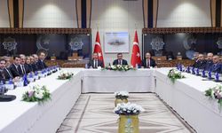 Cumhurbaşkanı Yardımcısı Yılmaz 'Kamuda Etkin Yönetim ve Denetim' koordinasyon toplantısında konuştu: