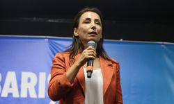 DEM Parti Eş Genel Başkanı Hatimoğulları: "Bir an önce ateşkes ilan edilmeli, insani yardım oralara ulaştırılmalı'"