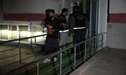 Edirne'de 31 düzensiz göçmen yakalandı