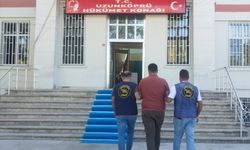 Edirne'de çiftlikten traktör römorku çaldığı öne sürülen 2 zanlıdan 1'i tutuklandı