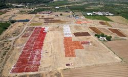 Gediz Ovası kurutmalık ürünlerle renklendi
