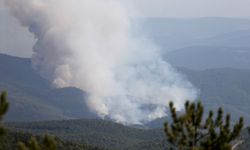 GÜNCELLEME - Kastamonu-Karabük sınırında çıkan ikinci yangına müdahale ediliyor