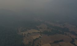 GÜNCELLEME - Kastamonu'da ormanlık alandaki 2 yangına müdahale sürüyor