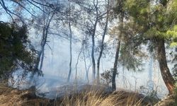 GÜNCELLEME - Manavgat'ta tarım arazisinde başlayıp ormanlık alana sıçrayan yangın kontrol altına alındı
