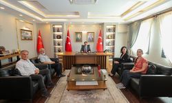 Hatay Sarısı ipeği coğrafi işaretle tescillendi