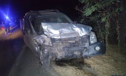 İzmir'de kamyonet ile otomobilin çarpıştığı kazada 1 kişi öldü, 8 kişi yaralandı