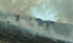 Kars'ta askeri tatbikat alanında çıkan anız yangını söndürüldü